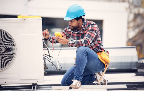 Best Affordable Electrician  in Ortonville, MI