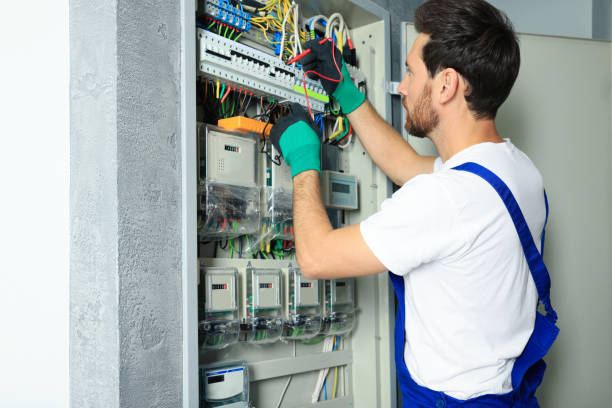 Best Home Electrical Repair  in Ortonville, MI